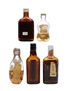 5 x Blended Scotch Whisky Miniature 