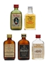 5 x Blended Scotch Whisky Miniature 