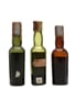 3 x Blended Scotch Whisky Miniature 