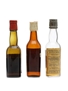 3 x Blended Scotch Whisky Miniature 