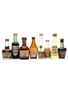 8 x Assorted Liqueurs Miniatures 