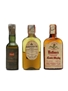 3 x Blended Scotch Whisky Miniature 