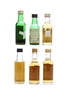 6 x Single Malt Scotch Whisky Miniature 