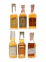 Assorted Kentucky Bourbon Whiskey Early Times, IW Harper, Old Grand Dad, Old Crow, JW Dant, Wild Turkey 6 x 4cl-5cl