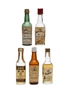 5 x Blended Scotch Whisky Miniature 