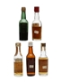 5 x Blended Scotch Whisky Miniature 