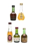 Assorted Cognac & French Brandy Bisquit, Camus, Courvoisier, Grand Empereur 5 x 2cl-5cl