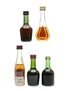 Assorted Cognac & French Brandy Bisquit, Camus, Courvoisier, Grand Empereur 5 x 2cl-5cl