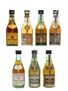 Torres Brandy Spanish Brandy 7 x 5cl