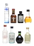 Assorted Spirits & Liqueurs Ciroc, Drambuie, Hendrick's, Zubrowka 8 x 5cl