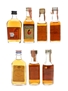 Assorted Bourbons Bulleit, Jim Beam, Medley's, Old Forester, Walker's 7 x 5cl