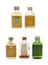 5 x Blended Irish Whiskey Miniature 