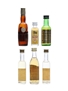 6 x Blended Scotch Whisky Miniature 