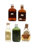 5 x Blended Scotch Whisky Miniature 