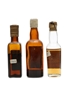 3 x Blended Scotch Whisky Miniature 