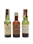 3 x Blended Scotch Whisky Miniature 