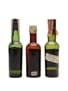 3 x Blended Scotch Whisky Miniature 