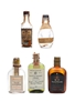 5 x Blended Scotch Whisky Miniature 