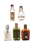 5 x Blended Scotch Whisky Miniature 