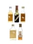 5 x Blended Scotch Whisky Miniature 