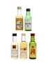 5 x Blended Scotch Whisky Miniature 