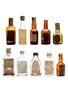 10 x Blended Scotch Whisky Miniature 