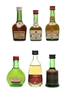 Assorted Armanac & Cognac Bisquit, Courvoisier Janneau, Larsen & Prince Hubert De Polignac 6 x 3cl-5cl