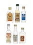 Assorted White Spirits Fuentes, Gordon's, Marine, Sorel & Smirnoff 6 x 3cl-5cl