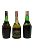 Chatelle Freres, Napoleon Premier Brandy & Ramazzotti Chateau La Victoire Bottled 1960s-1980s 3 x 75cl