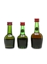 Courvoisier 3 Star Luxe  2.7cl-5cl / 40%