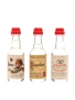 Morandini Grappa & Sambuca  3 x 2.5cl