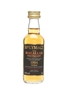 Macallan 1994 Speymalt Gordon & MacPhail 5cl / 40%