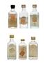 Assorted Spanish Gin Beltrain, Don Juan, Ginebra, Gunson, Sorel & Wan Guld 6 x 5cl