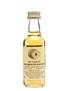 Tormore 1989 15 Year Old Bottled 2004 - Signatory Vintage 5cl / 43%