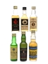 Assorted Blended Scotch Whisky Bottled 1960s-1970s - Black Swan, Buchanan, Junior, Morrison's 6 x 3.7cl-5cl