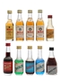 Assorted Bols Liquors 10 x Miniatures 