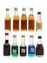 Assorted Bols Liquors 10 x Miniatures 