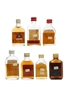 7 x Blended Scotch Whisky Miniatures 