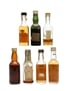 7 x Blended Scotch Whisky Miniatures 