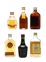 Assorted Blended Scotch Whisky Grant's, Haig's Dimple, Haig, Long John, Vat 69 & White Horse 6 x 5cl / 40% ABV