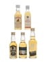 Assorted Blended Scotch Whisky Famous Grouse, Hankey Bannister, Red Hackle, Scotia Royale & Thistle 5 x 4.7cl-5cl / 40%