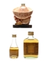 Assorted Brandy Grand Trianon, L'Arboc Del Penedes & St Michael 3 x 4.6cl-10cl