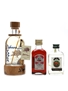 Assorted Polish Vodka & Liqueurs Debowa, Nalewka, Zubrowka 50cl, 20cl & 10cl