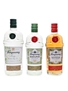 Tanqueray Lovage, Flor De Sevilla & Rangpur  100cl & 2 x 70cl