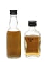 Big T Over 12 Years The Tomatin Distillery Company 4.68cl & 5cl / 43%