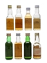 Assorted Blended Scotch Whisky Benmore, Dalchully, Lamberts, Noble Glen, Raleigh & Ye Monks 8 x 4.7cl-5cl