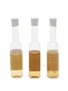 Bladnoch, Dalmore & Glengoyne The World's Smallest Bottles Of Whisky 3 x <1cl