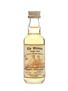 Macallan 1975 Cask 8888 19 Year Old - Van Wees 5cl / 43%