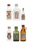 Assorted Gin Including Booth's 1956, Beefeater, Squires, Plym-Gin, Mahon 6 x 1cl-5cl