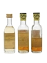 Cuervo Tequila & Monte Alban Mezcal  3 x 5cl / 40%